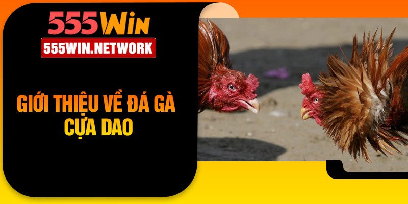 Giới thiệu về đá gà cựa dao